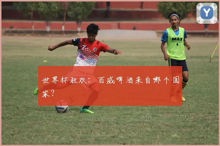 世界杯狂欢:百威啤酒来自哪个国家?