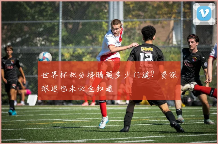 世界杯积分榜暗藏多少门道？资深球迷也未必全知道