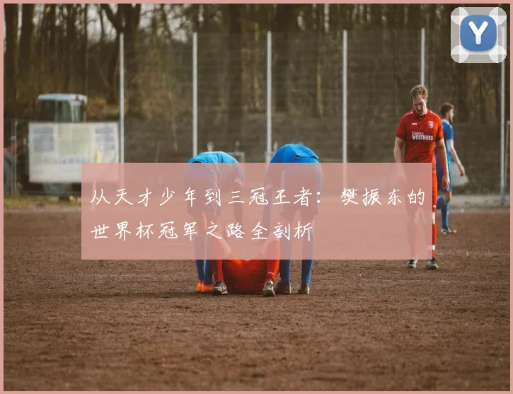 从天才少年到三冠王者：樊振东的世界杯冠军之路全剖析