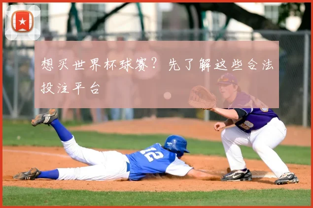 想买世界杯球赛?先了解这些合法投注平台