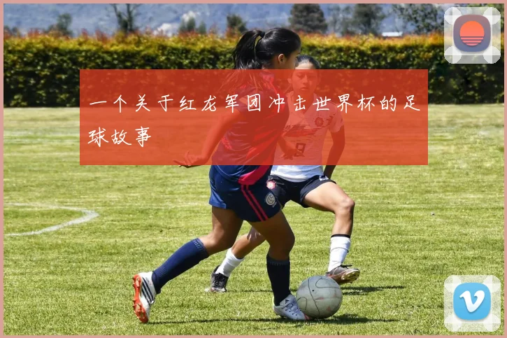 一个关于红龙军团冲击世界杯的足球故事