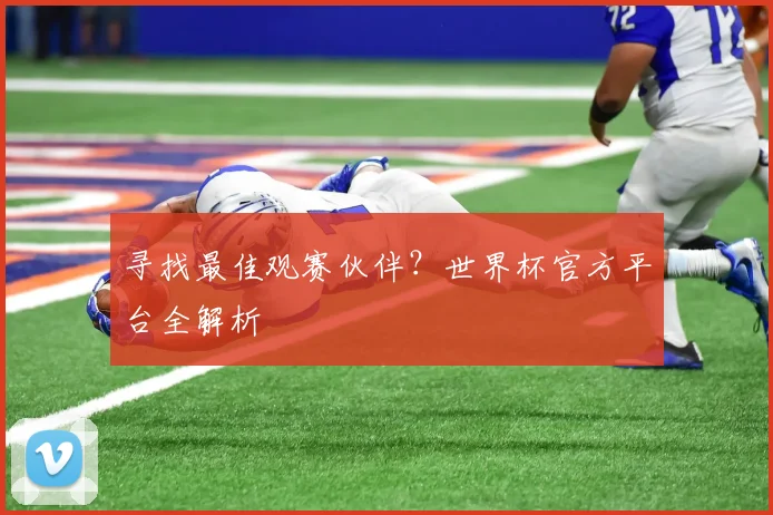 寻找最佳观赛伙伴？世界杯官方平台全解析