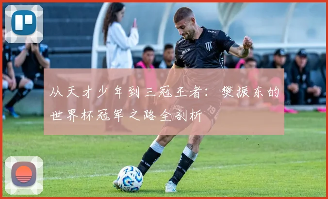 从天才少年到三冠王者：樊振东的世界杯冠军之路全剖析