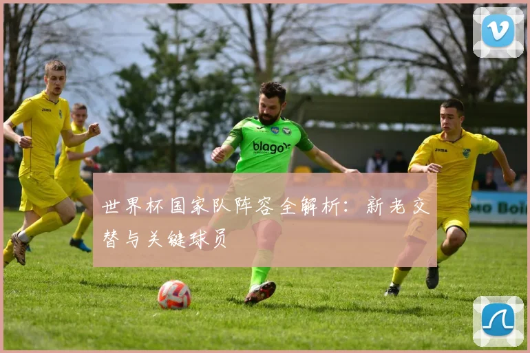 世界杯国家队阵容全解析:新老交替与关键球员