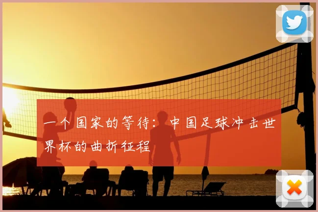 一个国家的等待：中国足球冲击世界杯的曲折征程