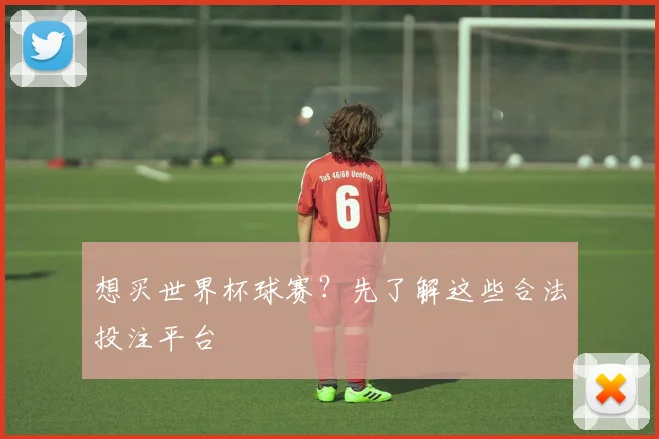 想买世界杯球赛？先了解这些合法投注平台