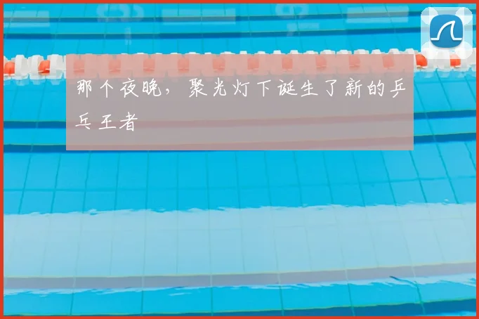 那个夜晚,聚光灯下诞生了新的乒乓王者