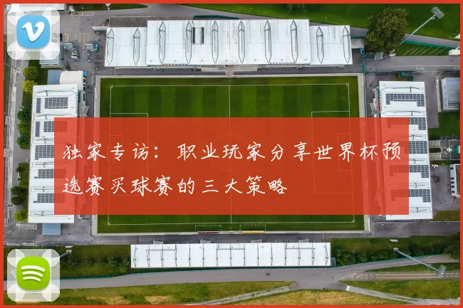 独家专访：职业玩家分享世界杯预选赛买球赛的三大策略